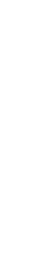 decoration_lines