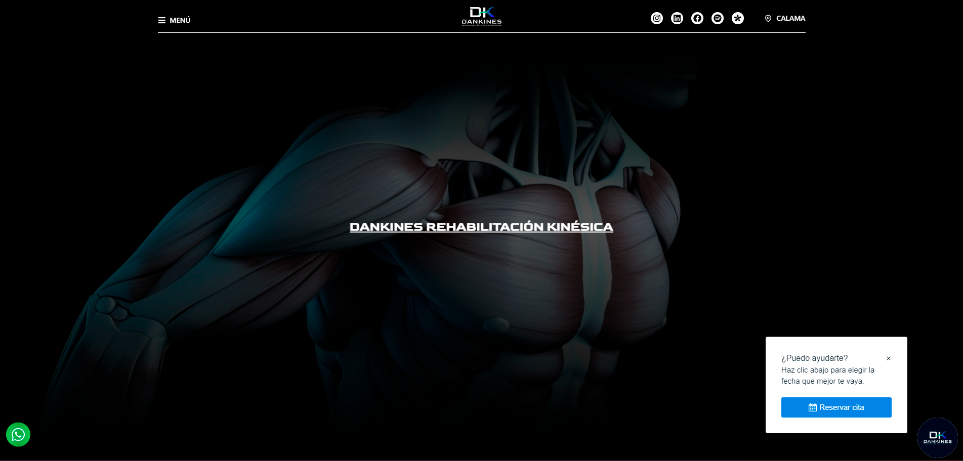 dankines.webp